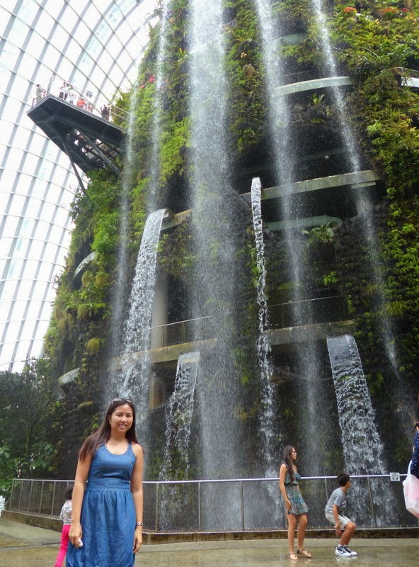 world's tallest indoor waterfall Cloud Forest
