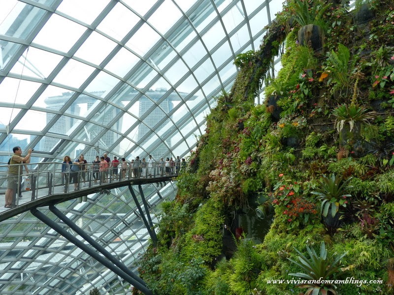 Cloud Forest Gardens by the bay
