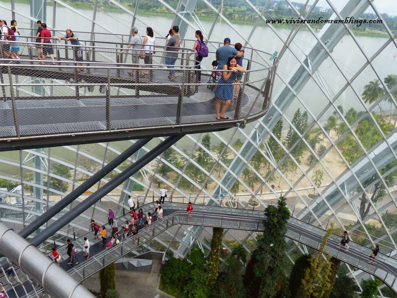 Gardens by the Bay Cloud Forest Dome