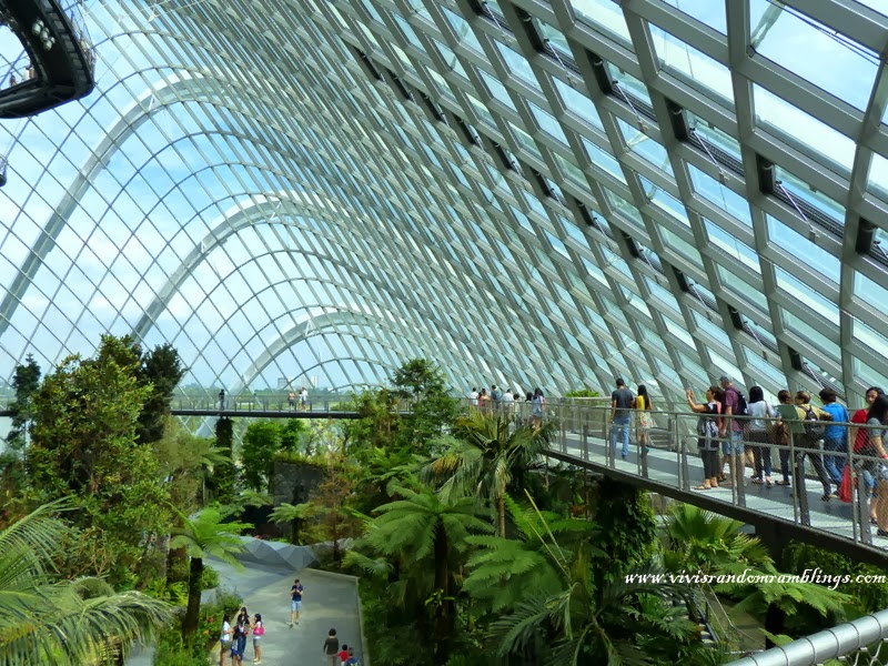 Cloud Forest Gardens by the Bay