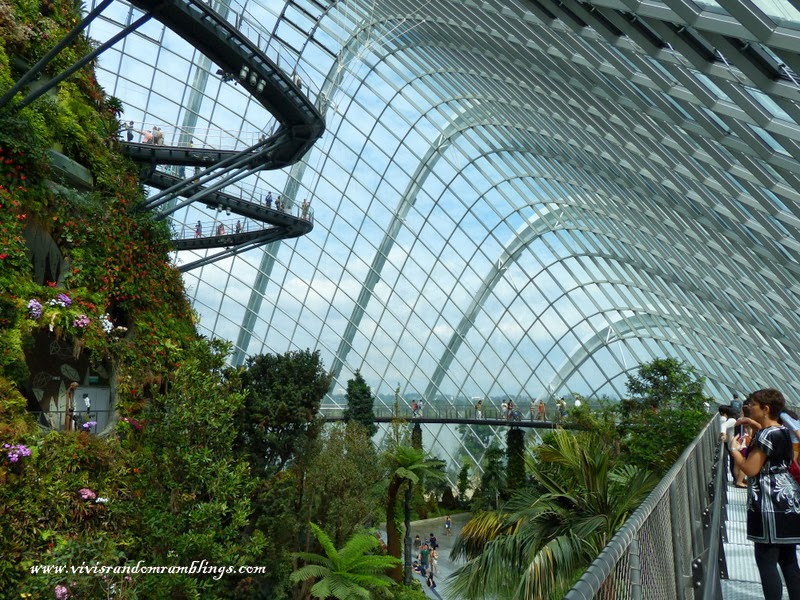 Cloud Forest gardens by the bay