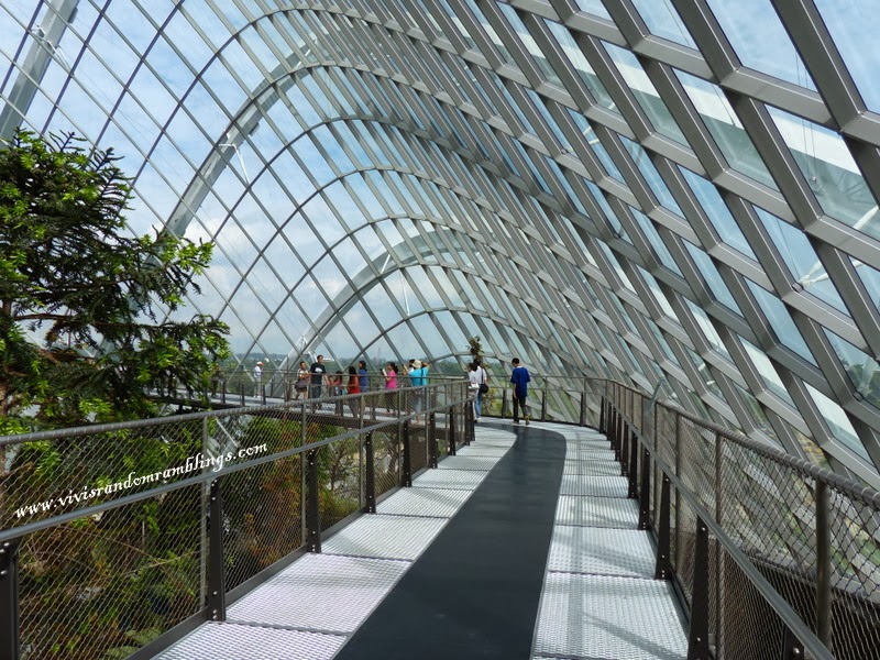 Cloud Forest Dome Gardens by the Bay