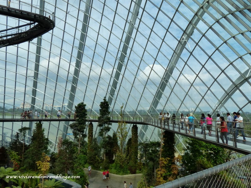 Cloud Forest Gardens by the Bay